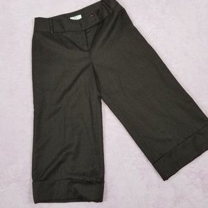 Ann Taylor Loft wool gauchos